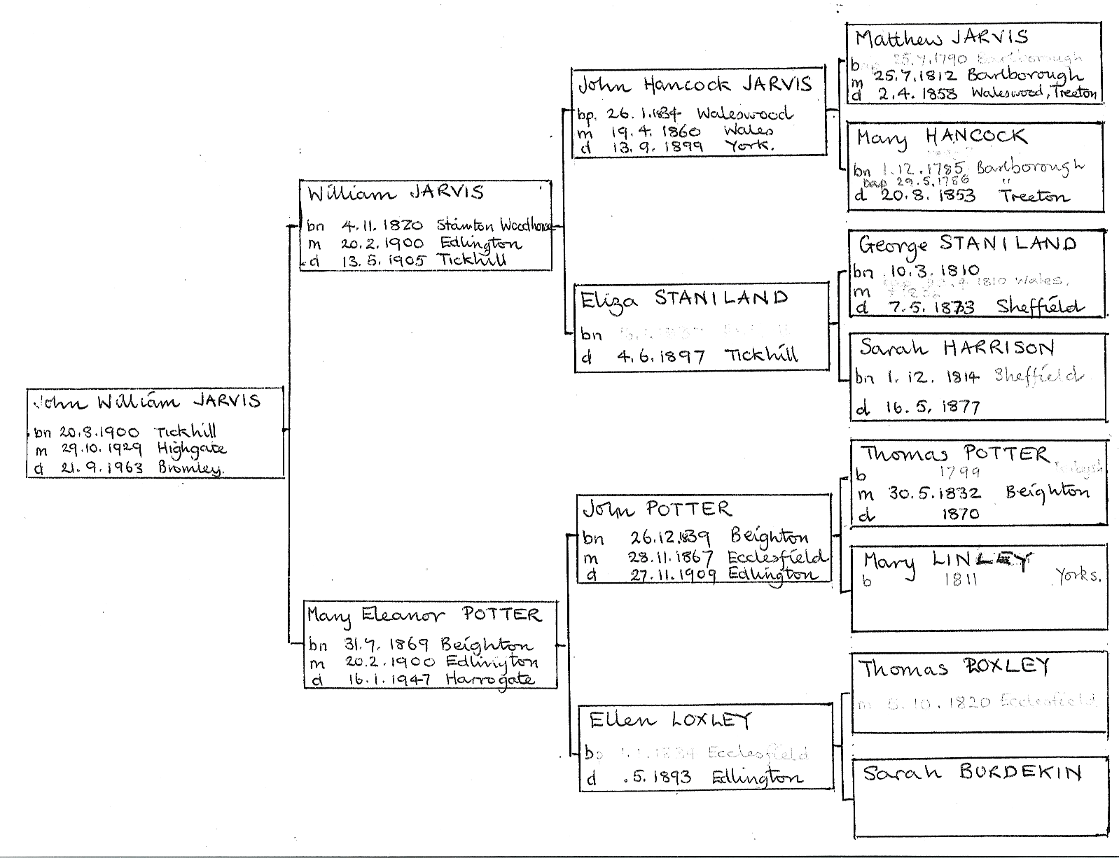 This is a hand drawn family tree.